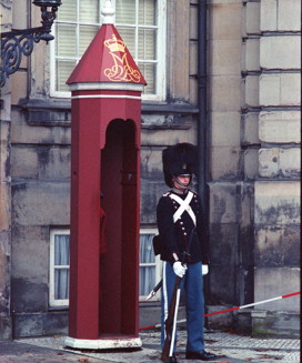 DanishGuard272x327.jpg